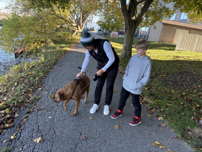 Protect your pets during Halloween